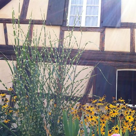 Chambres D'Hotes La Stoob Strasbourg Sud Illkirch-Graffenstaden Esterno foto